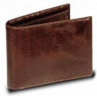 Мужской бумажник Visconti LAZIO MZ-4 коричневый