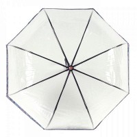 Женский механический зонт-трость Fulton Birdcage-2 Luxe L866 Luminous Floral (Светящиеся цветы)