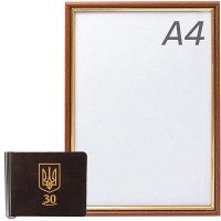Кожаный зажим для купюр DNK LEATHER DNK-U30-Spring-plus-col-F