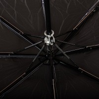 Женский механический зонт Susino DS01-5