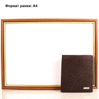 Кожаное мужское коричневое портмоне GEORGES CHABROLLE