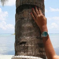 Наручные часы Andywatch «Морской бриз» AW 181-0