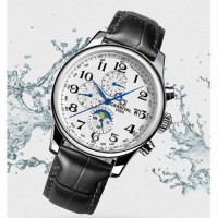 Мужские механические часы CARNIVAL MASTERS (8710)