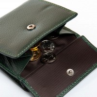 Женский кожаный кошелек Bright DR. BOND WS-33 green