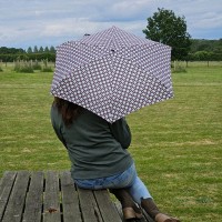 Мини зонт женский механический Fulton L501-041611 Tiny-2 Flower Check (Цветочная клетка)