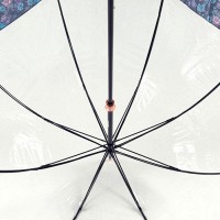 Женский механический зонт-трость Fulton Birdcage-2 Luxe L866 Luminous Floral (Светящиеся цветы)
