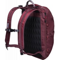 Рюкзак Victorinox Travel ALTMONT Active/Burgundy Vt602134