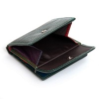 Женский кожаный кошелек Rainbow DR. BOND WRS-33-1 green
