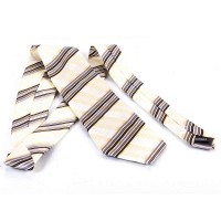 Галстук мужской шелковый SCHONAU and HOUCKEN fareshs-90