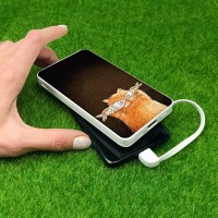 Повербанк ZIZ КОТОФЕЙ  10000 mAh 45060