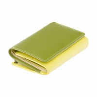 Женский кожаный кошелек Visconti BORA rb43 lime m