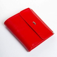 Женский кожаный кошелек Bright DR. BOND WS-33 red