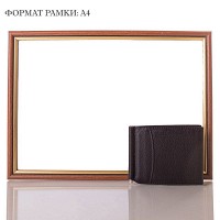 Мужской зажим для денег из кожи CANPELLINI SHI070-7