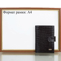 Мужская обложка на водительские документы DESISAN SHI101-143-2LZ