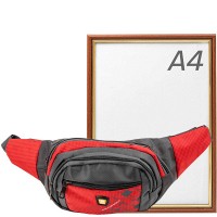 Женская поясная сумка VALIRIA FASHION  3DETBI676-1
