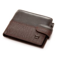 Мужской кожаный кошелек BE BRETTON 208-L0611 brown mix