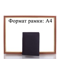 Кожаный кошелек DNK LEATHER DNKN4-CCF-black