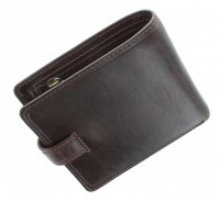 Мужской бумажник Visconti TSC41 Massa (Brown) с защитой RFID
