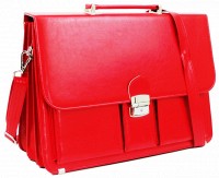 Женский портфель из эко кожи AMO SST10 красный