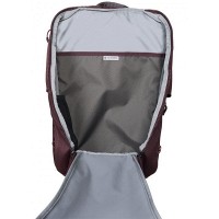 Рюкзак Victorinox Travel ALTMONT Active/Burgundy Vt602134