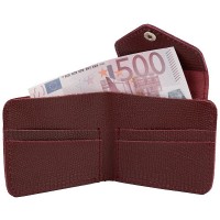 Женский кожаный кошелек ETERNO AN-K120-bordo