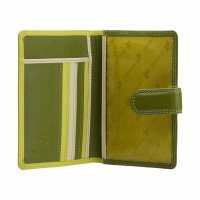 Кожаная обложка для паспорта Visconti rb75 lime m