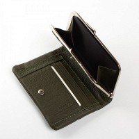 Женский кожаный кошелек Classik  DR. BOND WN-23-14 green