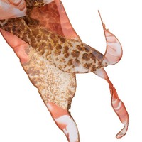 Шарф женский ASHMA DS47-177-1