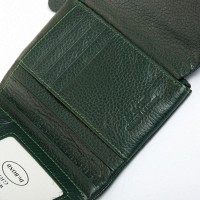 Женский кожаный кошелек Bright DR. BOND WS-239 green
