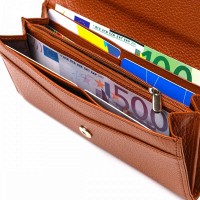 Женский кожаный кошелек  CANPELLINI 21712 