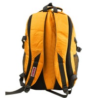 Рюкзак мужской VALIRIA FASHION 5DETBU2816-3
