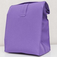 Термосумка для еды TERMO Lunch bag 1,5 л 021