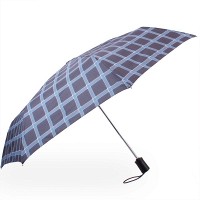 Женский зонт автомат HAPPY RAIN u46859-5