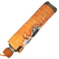 Зонт женский полуавтомат ZEST Z53616-3776В