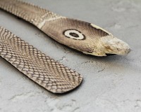 Ремень из кожи кобры Ekzotic Leather snb 18