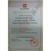 Мужские часы NAVIFORCE СUBA 1065