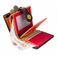 Женский кожаный кошелек Visconti ds80 blk/pc