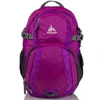 Женский  рюкзак ONEPOLAR  W1961-violet