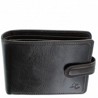 Мужское портмоне Visconti Tuscany TSC-47 BRN с защитой RFID