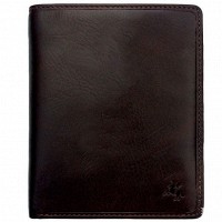 Мужское портмоне Visconti Tuscany TSC-49 BRN с защитой RFID