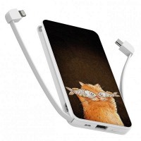 Повербанк ZIZ КОТОФЕЙ 10000 mAh 45060